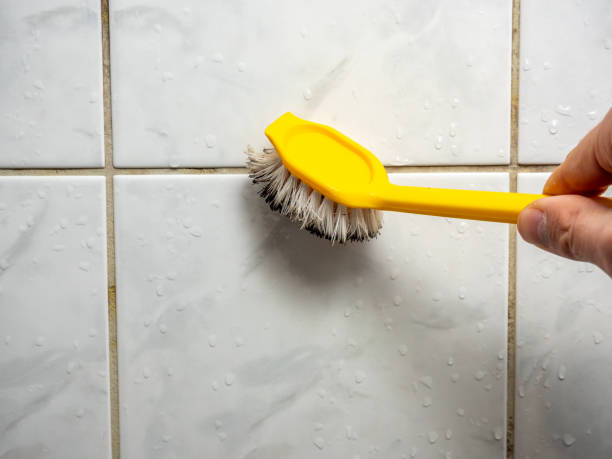 Professional Mold Removal in Red Oak, NC