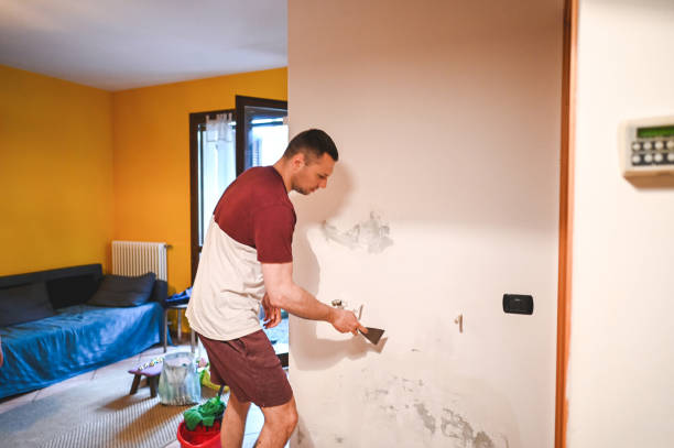 Home Mold Removal in Red Oak, NC