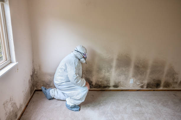 Best Professional Mold Removal  in Red Oak, NC